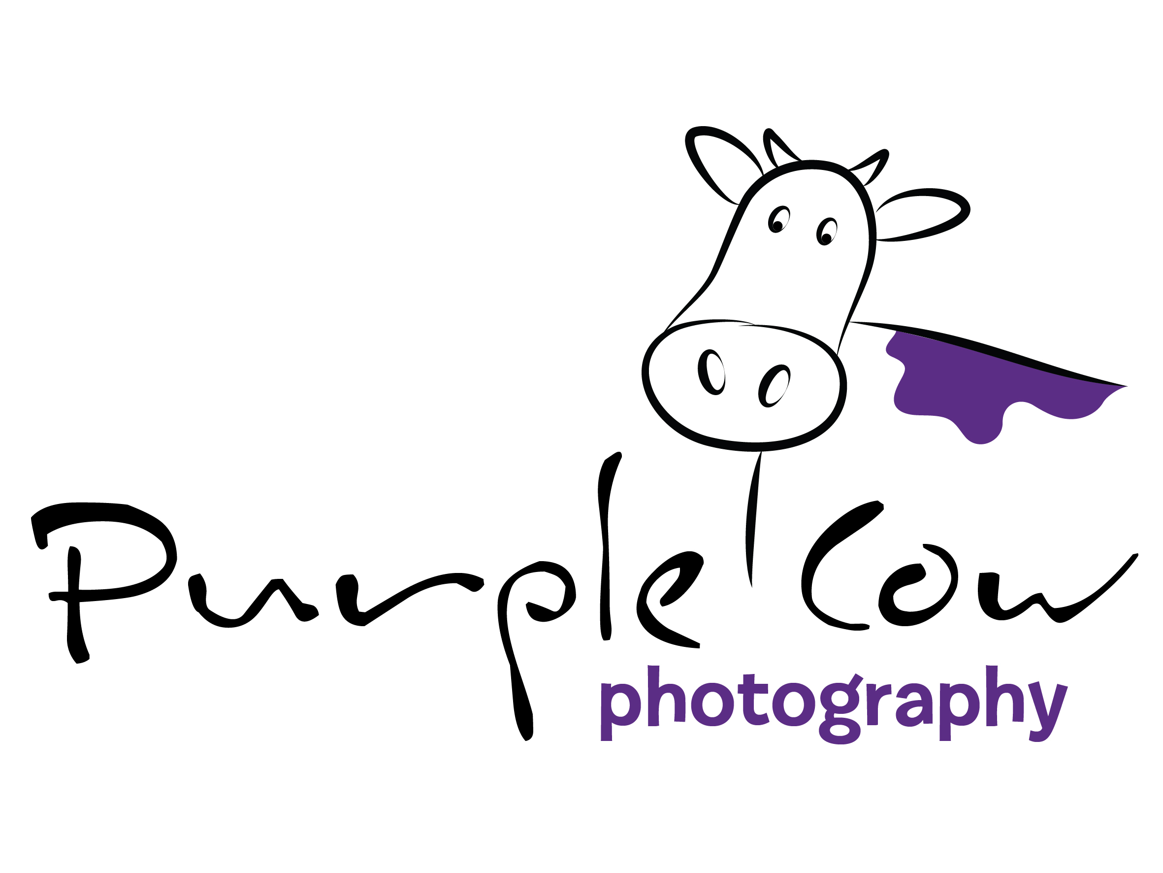 Purple Cow Photography